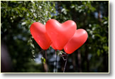 Herz Luftballone für Polterabend